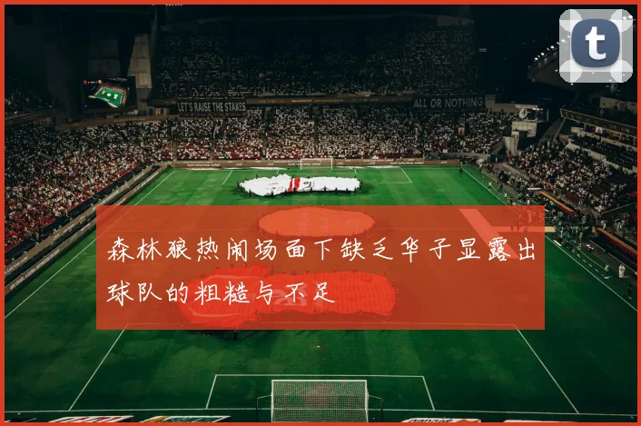 森林狼热闹场面下缺乏华子显露出球队的粗糙与不足