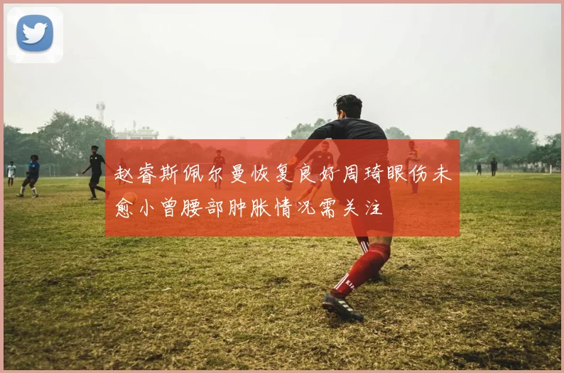 赵睿斯佩尔曼恢复良好周琦眼伤未愈小曾腰部肿胀情况需关注