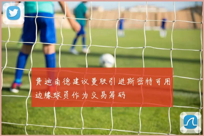费迪南德建议曼联引进斯密特可用边缘球员作为交易筹码